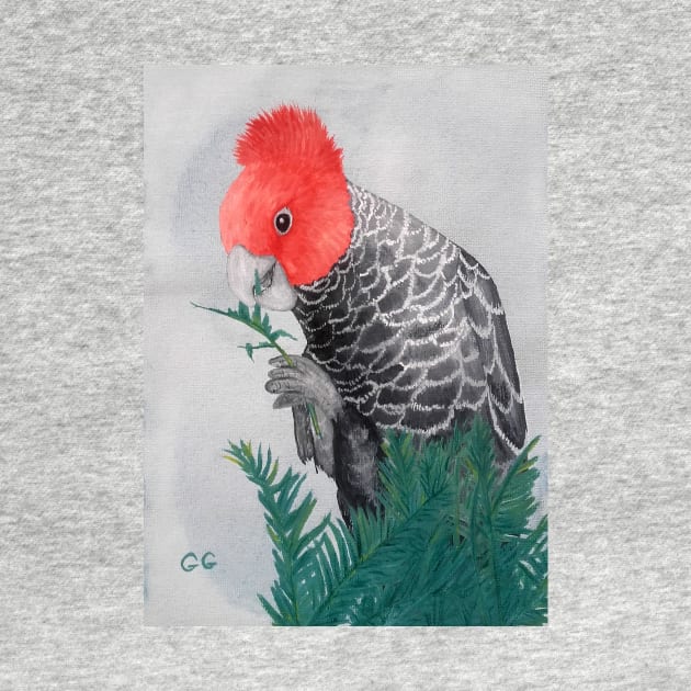 Australian Gang Gang Parrot painting by GarryGreenwood